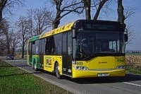 Linka 11, Alej Chvlkovice - Samotiky