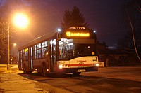 Svat� Kope�ek, ZOO, a-11, 8.12.2008